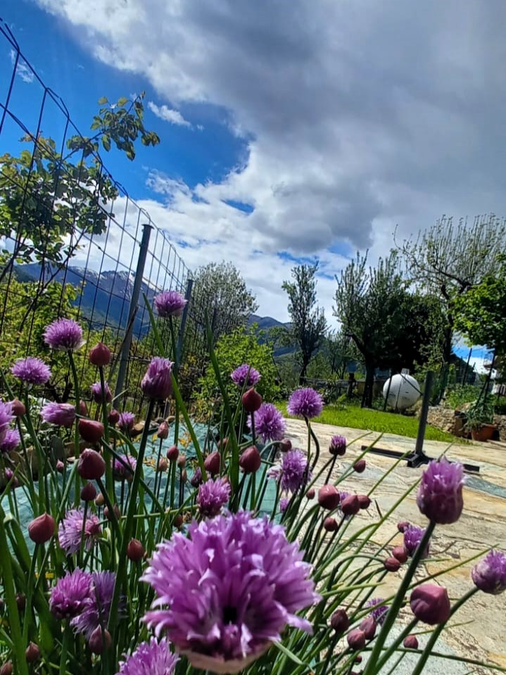 Escursioni e attività Valli di Lanzo
