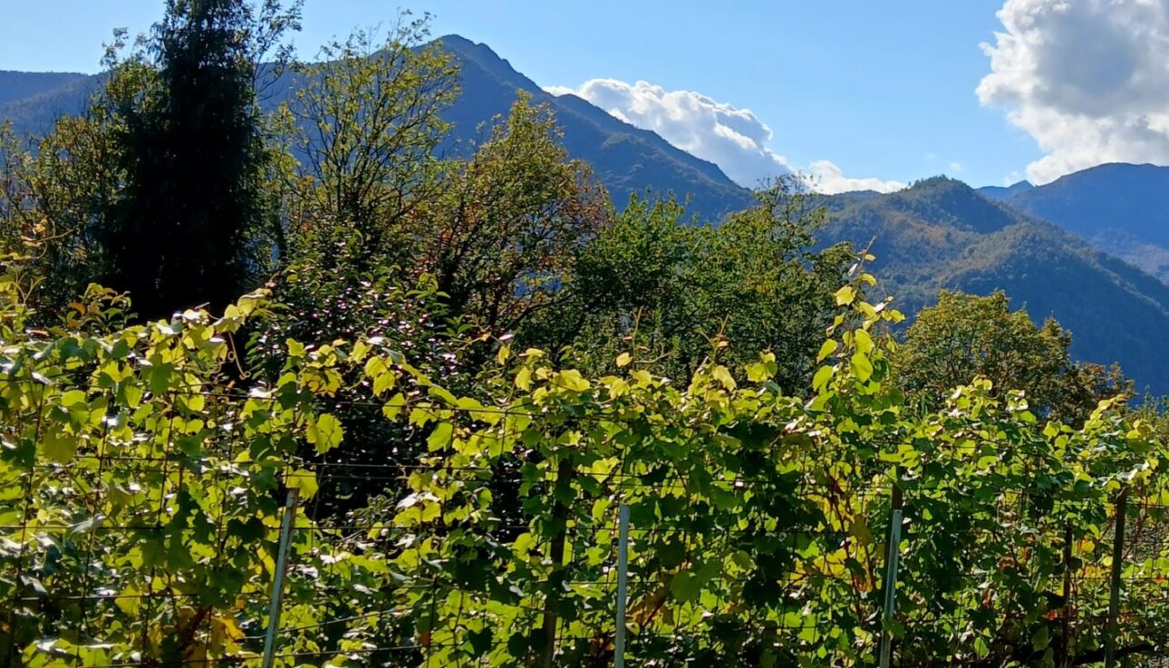 Valli di Lanzo Piemonte per famiglie